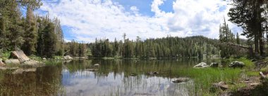 Fotoğraf: Büyük Ayı Gölü Eureka Plumas Ormanı, Kaliforniya