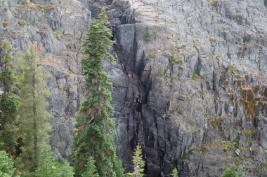  Frazier, Eureka Plumas Ormanı, Havza Gölü, Califo