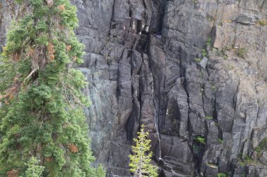  Frazier, Eureka Plumas Ormanı, Havza Gölü, Califo