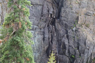  Frazier, Eureka Plumas Ormanı, Havza Gölü, Califo