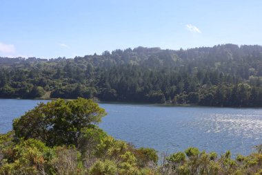 Crystal Springs 'in fotoğrafı, San Mateo, California