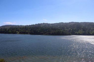 Crystal Springs 'in fotoğrafı, San Mateo, California