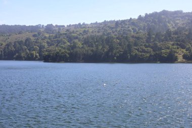 Crystal Springs 'in fotoğrafı, San Mateo, California