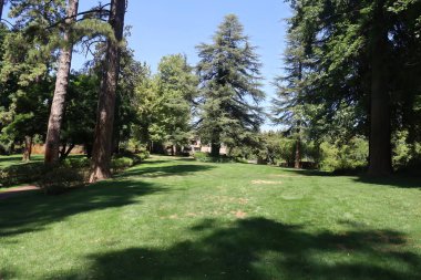 6-20-2023: Çimen Vadisi, Kaliforniya: Empire State Park