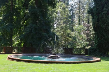 6-20-2023: Çimen Vadisi, Kaliforniya: Empire State Park