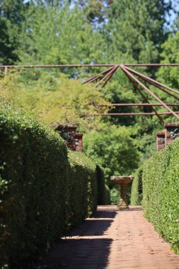 6-20-2023: Çimen Vadisi, Kaliforniya: Empire State Park
