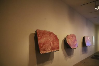 9-16-2023: San Francisco, California: Deyoung Müzesi, Golden Gate Parkı, San Francisco, Kaliforniya