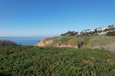 Pasifik California 'daki Uçurumlar ve Okyanus Mussell rock parkının fotoğrafı