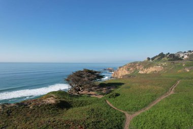 Pasifik California 'daki Uçurumlar ve Okyanus Mussell rock parkının fotoğrafı