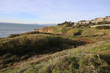 Fotoğraf: Pasifik Kaliforniya 'daki 1. Otoyol boyunca Sahil Manzarası
