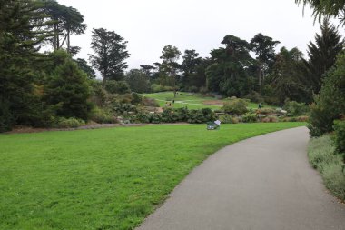 San Francisco botanik bahçelerinde doğa ve çiçekler Kaliforniya