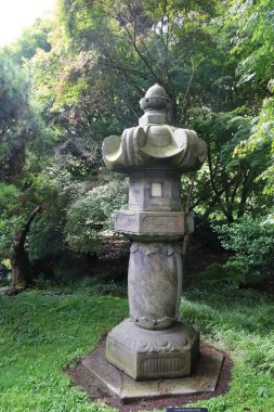 San Francisco botanik bahçelerinde doğa ve çiçekler Kaliforniya