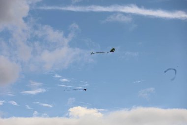 10-23-2023: San Francisco, California, ABD: San Francisco Kite Festivali
