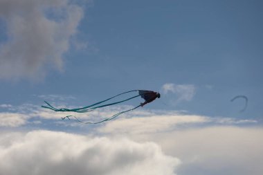 10-23-2023: San Francisco, California, ABD: San Francisco Kite Festivali