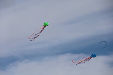 10-23-2023: San Francisco, California, ABD: San Francisco Kite Festivali
