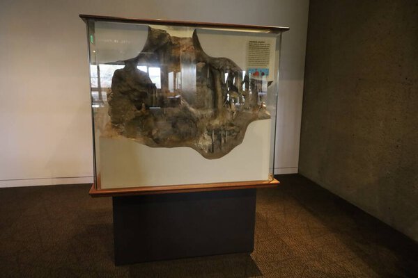 11-5-2023: Окленд, Калифорния, США: Музей искусств Окленда