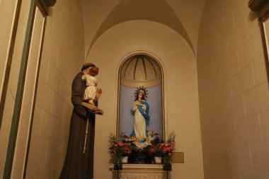 11-17-2023: San Francisco, California: Dolores, California Operasyonu. Şehirdeki en eski kilise.