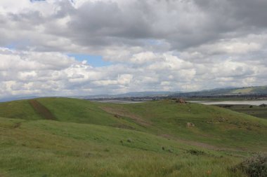Coyote Hills 'deki manzara ve tepelerin fotoğrafı. Fremont California.