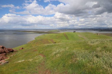 Coyote Hills 'deki manzara ve tepelerin fotoğrafı. Fremont California.