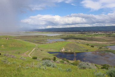 Coyote Hills 'deki manzara ve tepelerin fotoğrafı. Fremont California.