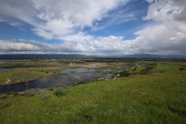Coyote Hills 'deki manzara ve tepelerin fotoğrafı. Fremont California.