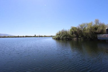 Fotoğraf: Quarry Gölleri Fremont California