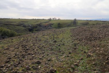 Oroville 'deki Table Dağı' nda bahar çiçekleri ve yeşillik., 