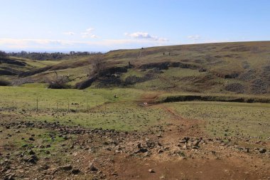 Oroville 'deki Table Dağı' nda bahar çiçekleri ve yeşillik., 