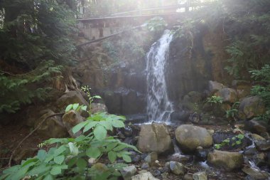 SweetBriar water  fall in Shastha California clipart