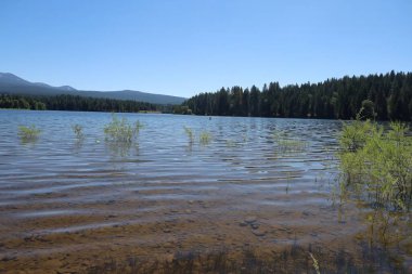 Siskiyou Gölü 'ne yansıyan Shastha Dağı' nın vahşi fotoğrafı. 