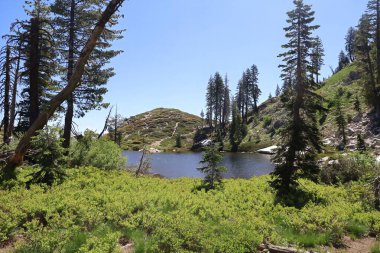 Siskiyou Gölü ve Castle Gölü çevresindeki Shastha Dağı 'nın vahşi doğasının fotoğrafı.