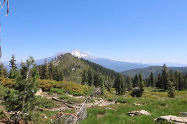 Siskiyou Gölü ve Castle Gölü çevresindeki Shastha Dağı 'nın vahşi doğasının fotoğrafı.
