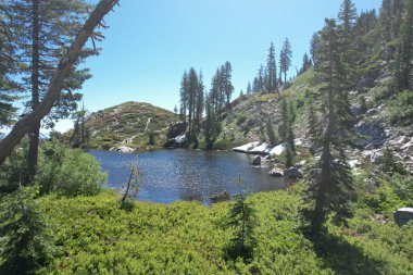 Siskiyou Gölü ve Shastha Dağı etrafındaki göl ve yabanın havadan çekilmiş fotoğrafı.