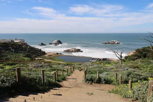 Fotoğraflar San Francisco California 'da gözcülük yapıyor.