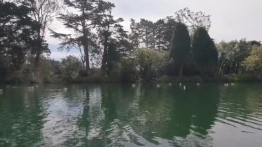 5-10-2020: San Francisco, California, ABD: Kürek çekme stow gölü