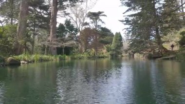 5-10-2020: San Francisco, California, ABD: Kürek çekme stow gölü