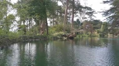 5-10-2020: San Francisco, California, ABD: Kürek çekme stow gölü