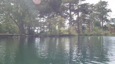 5-10-2020: San Francisco, California, ABD: Kürek çekme stow gölü