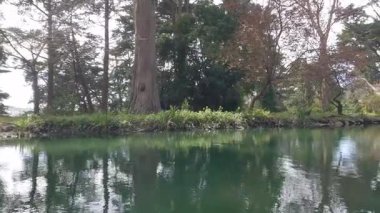 5-10-2020: San Francisco, California, ABD: Kürek çekme stow gölü