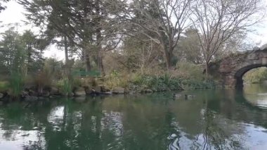 5-10-2020: San Francisco, California, ABD: Kürek çekme stow gölü