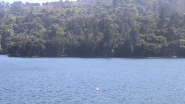 Crystal Springs Rezervuarı, San Mateo, Kaliforniya