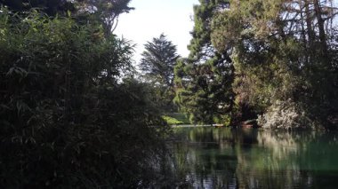 Golden Gate Parkı, San Francisco, Calfornia, ABD