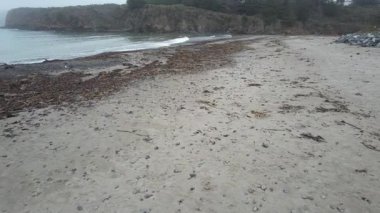 Mendocino, California, ABD 'deki plajların, uçurumların ve okyanusların üzerinden uçuyor.