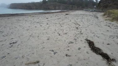 Mendocino, California, ABD 'deki plajların, uçurumların ve okyanusların üzerinden uçuyor.