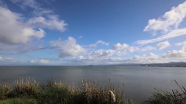 2-20-2024: San Francisco, California, ABD: Çin Yeni Yıl Geçidi