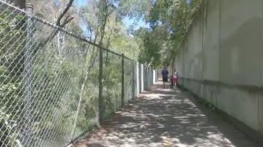 8-15-2024: San Jose, California, ABD: Los Gatos dere yolu bisikleti