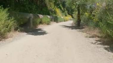 8-15-2024: San Jose, California, ABD: Los Gatos dere yolu bisikleti