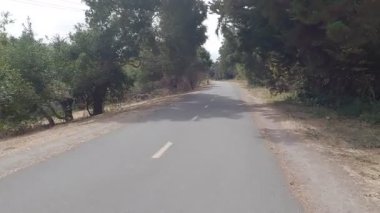 5-5-2024: Sausalito, California, ABD: Marin ilçesinde bisiklet parkuru