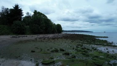 Vancouver, British Columbia, Kanada 'daki plaj ve okyanus videoları.