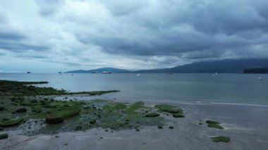 Vancouver, British Columbia, Kanada 'daki plaj ve okyanus videoları.